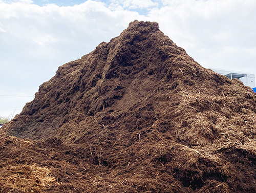 山積みにされた木質バイオマスチップ