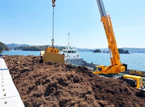 木質バイオマスチップを船へ積みこんている作業の様子